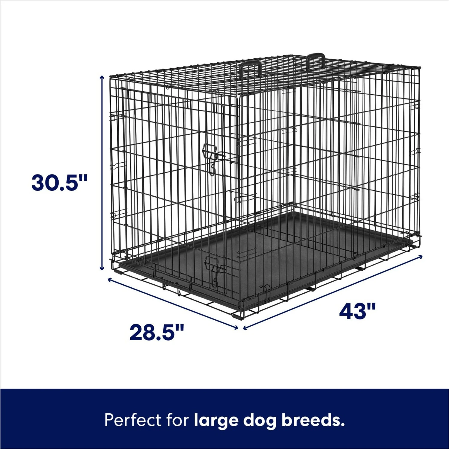 Frisco Heavy Duty Fold & Carry Single Door Collapsible Wire Dog Crate Frisco Heavy Duty Fold & Carry Single Door Collapsible Wire Dog Crate -Pet Store 109783 PT1. AC SS1800 V1667228348