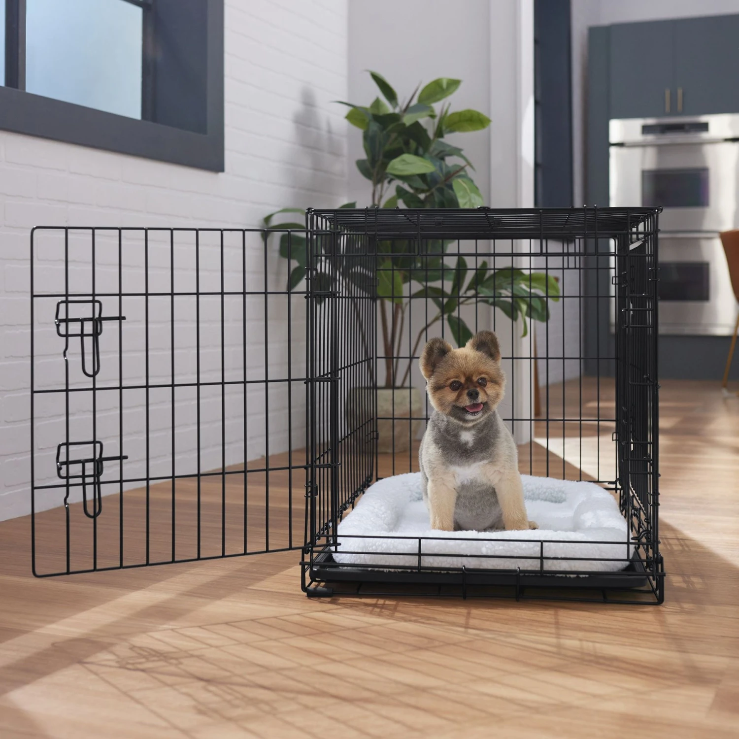 Frisco Heavy Duty Fold & Carry Double Door Collapsible Wire Dog Crate Frisco Heavy Duty Fold & Carry Double Door Collapsible Wire Dog Crate -Pet Store 109789 MAIN. AC SS1800 V1668117063