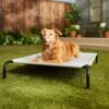 Frisco Steel-Framed Elevated Dog Bed -Pet Store 112076 MAIN. AC SS1800 V1674156718