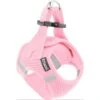 Frisco Small Breed Soft Vest Step In Back Clip Dog Harness -Pet Store 139821 MAIN. AC SS1800 V1699631626