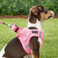 Frisco Small Breed Soft Vest Step In Back Clip Dog Harness -Pet Store 139821 PT5. AC SS1800 V1561573781