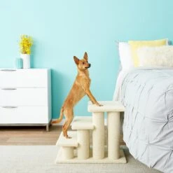 Frisco 18.5 Or 24.5 Inch 2-in-1 Cat & Dog Stairs 8 Frisco 18.5 Or 24.5 Inch 2-in-1 Cat & Dog Stairs -Pet Store 140154 PT6. AC SS1800 V1584453442
