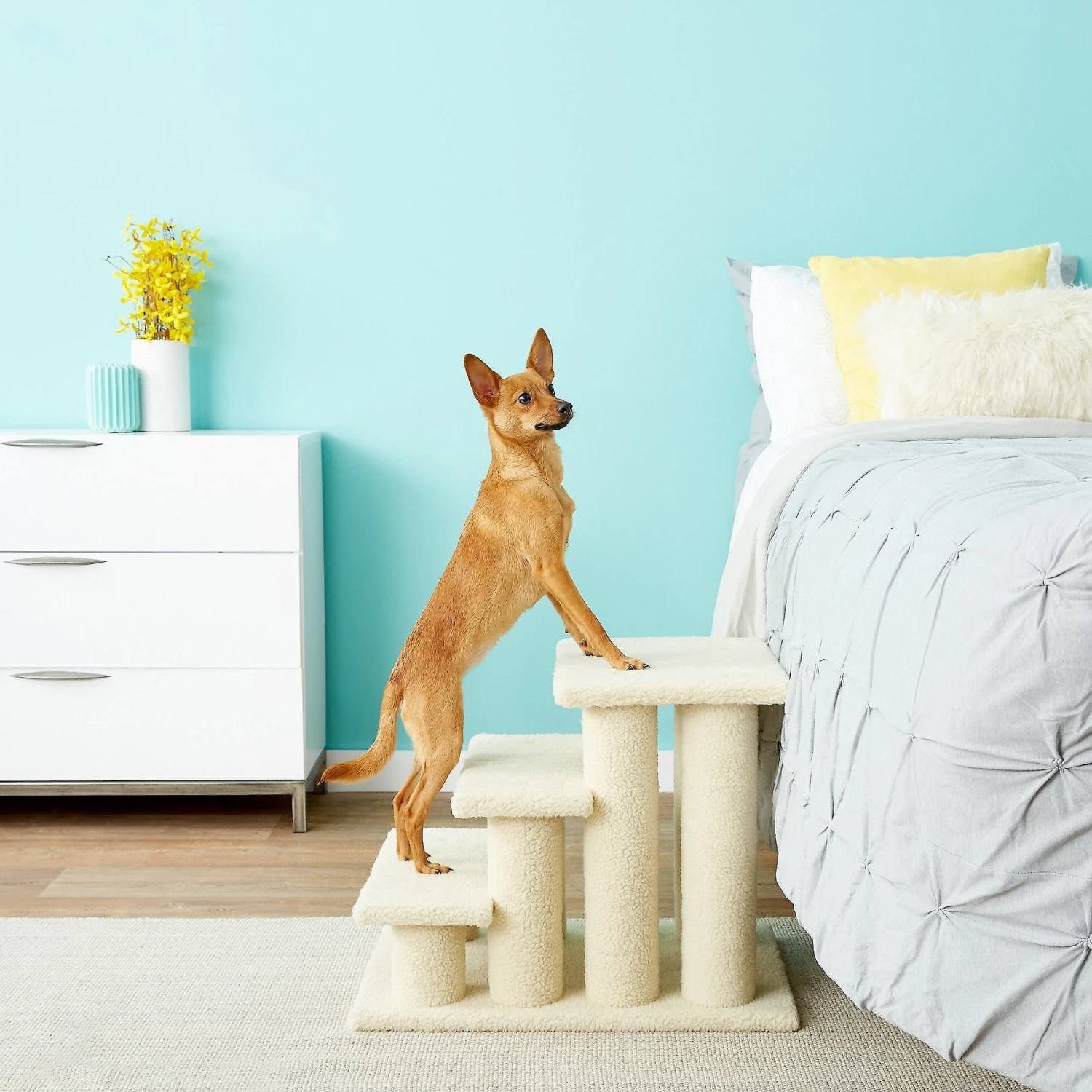 Frisco 18.5 or 24.5 Inch 2-in-1 Cat & Dog Stairs Frisco 18.5 Or 24.5 Inch 2-in-1 Cat & Dog Stairs -Pet Store 140154 PT6. AC SS1800 V1584453442