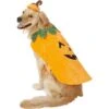 Frisco Pumpkin Dog & Cat Costume -Pet Store 144446 MAIN. AC SS1800 V1540495184