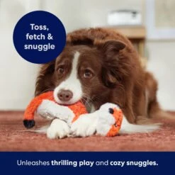 Frisco Fox Skinny Plush Squeaky Dog Toy -Pet Store 147049 PT5. AC SS1800 V1691776638