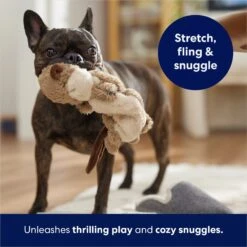 Frisco Beaver Bungee Plush Squeaky Dog Toy -Pet Store 152824 PT5. AC SS1800 V1686580146