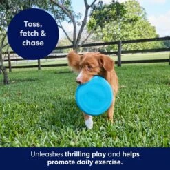 Frisco Fetch Rubber Flyer Dog Toy -Pet Store 152848 PT5. AC SS1800 V1692370079