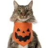 Frisco Jack O' Lantern Pumpkin Dog & Cat Bandana -Pet Store 158934 MAIN. AC SS1800 V1669148132