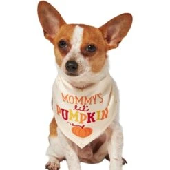 Frisco Mommy's Lil Pumpkin Dog & Cat Bandana -Pet Store 158936 PT2. AC SS1800 V1689629423