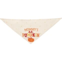 Frisco Mommy's Lil Pumpkin Dog & Cat Bandana -Pet Store 158936 PT3. AC SS1800 V1689628812