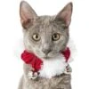Frisco Jingle Bells Dog & Cat Holiday Collar With Bells, 1 Count 2 Frisco Jingle Bells Dog & Cat Holiday Collar With Bells, 1 Count -Pet Store 160063 MAIN. AC SS1800 V1663948848