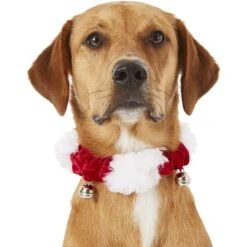 Frisco Jingle Bells Dog & Cat Holiday Collar With Bells, 1 Count -Pet Store 160063 PT2. AC SS1800 V1669101088