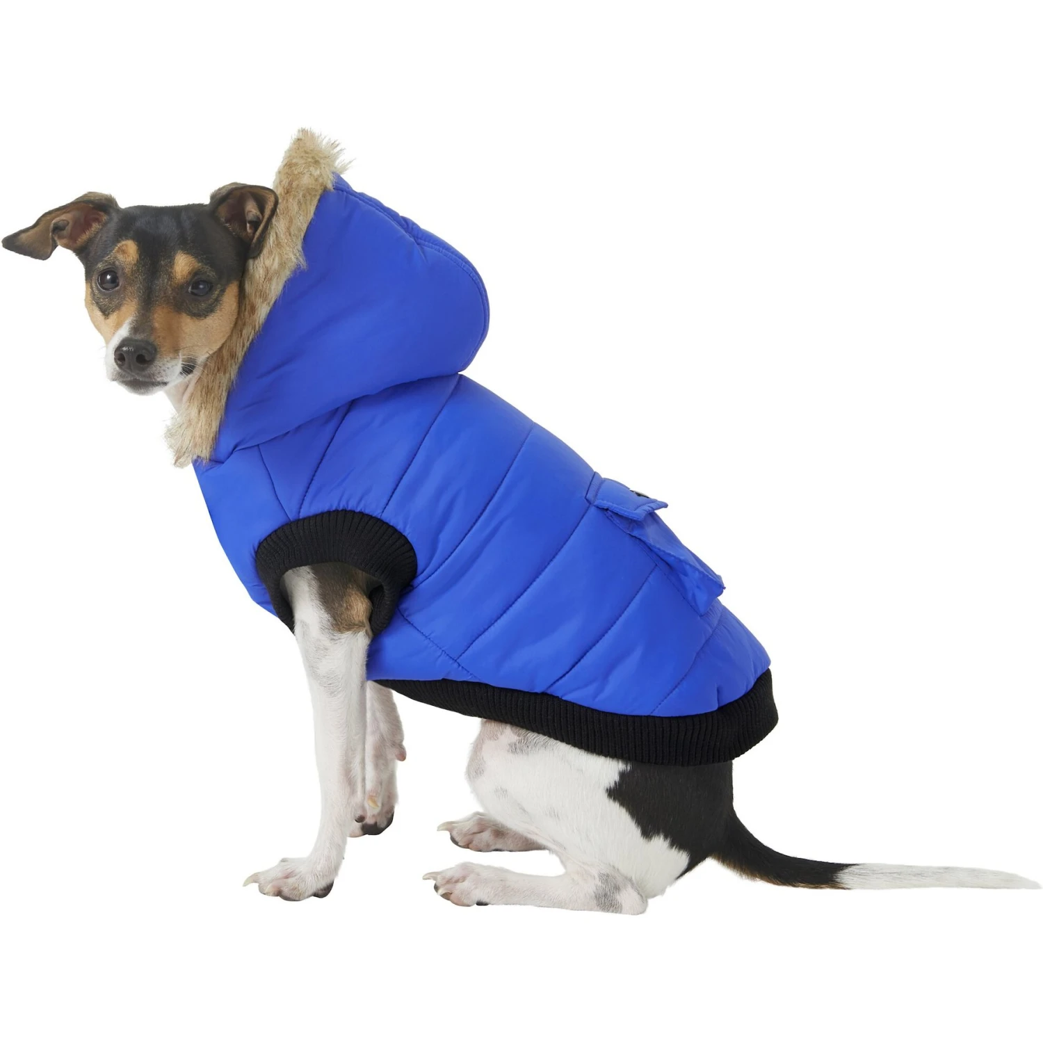 Frisco Heavyweight Anchorage Insulated Dog & Cat Parka Frisco Heavyweight Anchorage Insulated Dog & Cat Parka -Pet Store 160250 MAIN. AC SS1800 V1566999539