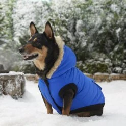 Frisco Heavyweight Anchorage Insulated Dog & Cat Parka 9 Frisco Heavyweight Anchorage Insulated Dog & Cat Parka -Pet Store 160250 PT7. AC SS1800 V1567011259