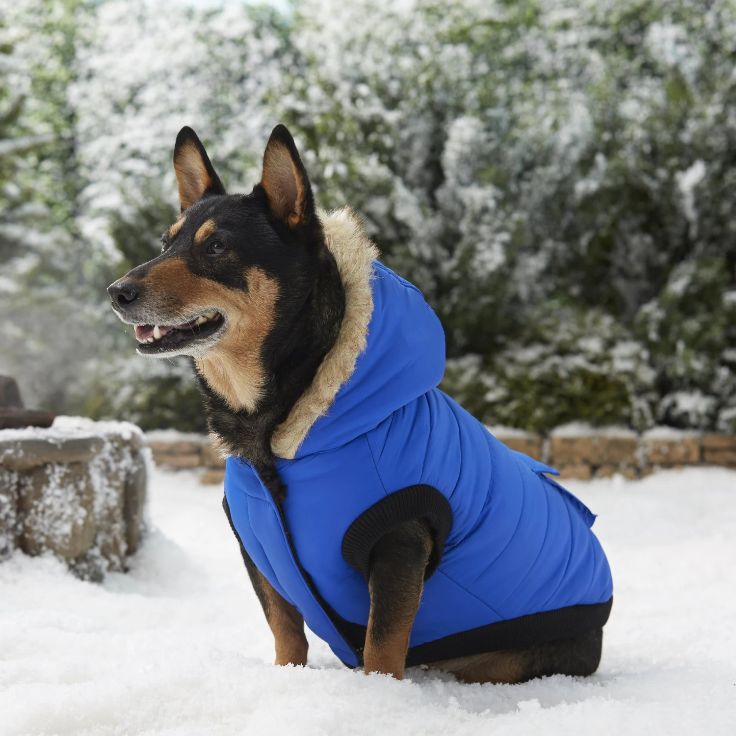 Frisco Heavyweight Anchorage Insulated Dog & Cat Parka Frisco Heavyweight Anchorage Insulated Dog & Cat Parka -Pet Store 160250 PT7. AC SS1800 V1567011259
