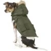 Frisco Mid-Heavyweight Portland Insulated Dog & Cat Parka -Pet Store 160295 MAIN. AC SS1800 V1566999745