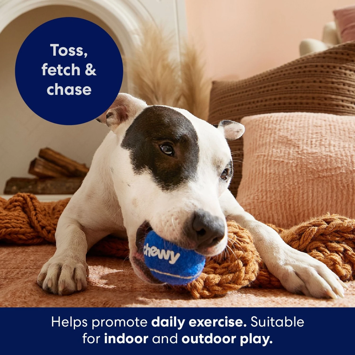 Frisco Chewy Fetch Squeaky Tennis Ball Dog Toy Frisco Chewy Fetch Squeaky Tennis Ball Dog Toy -Pet Store 164314 PT3. AC SS1800 V1691783970