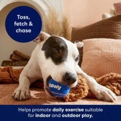 Frisco Chewy Fetch Squeaky Tennis Ball Dog Toy 6 Frisco Chewy Fetch Squeaky Tennis Ball Dog Toy -Pet Store 164314 PT5. AC SS1800 V1691783910