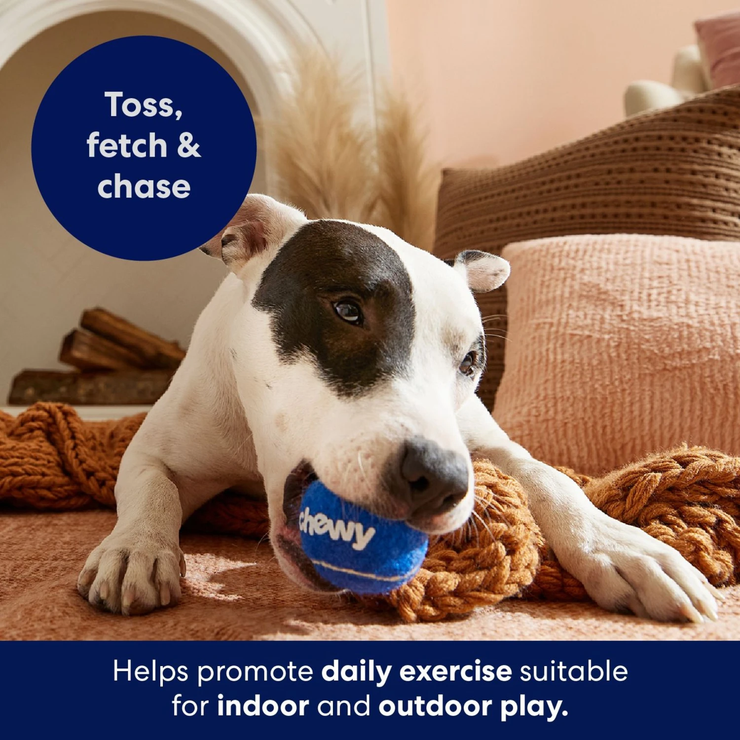 Frisco Chewy Fetch Squeaky Tennis Ball Dog Toy Frisco Chewy Fetch Squeaky Tennis Ball Dog Toy -Pet Store 164314 PT5. AC SS1800 V1691783910