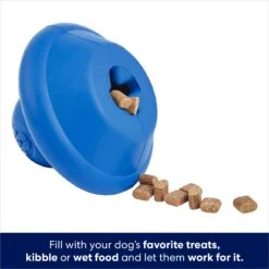 Frisco Flying Saucer Rubber Treat Dispenser Dog Toy -Pet Store 164757 PT3. AC SS1800 V1686579570