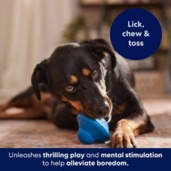 Frisco Flying Saucer Rubber Treat Dispenser Dog Toy -Pet Store 164757 PT5. AC SS1800 V1691784247