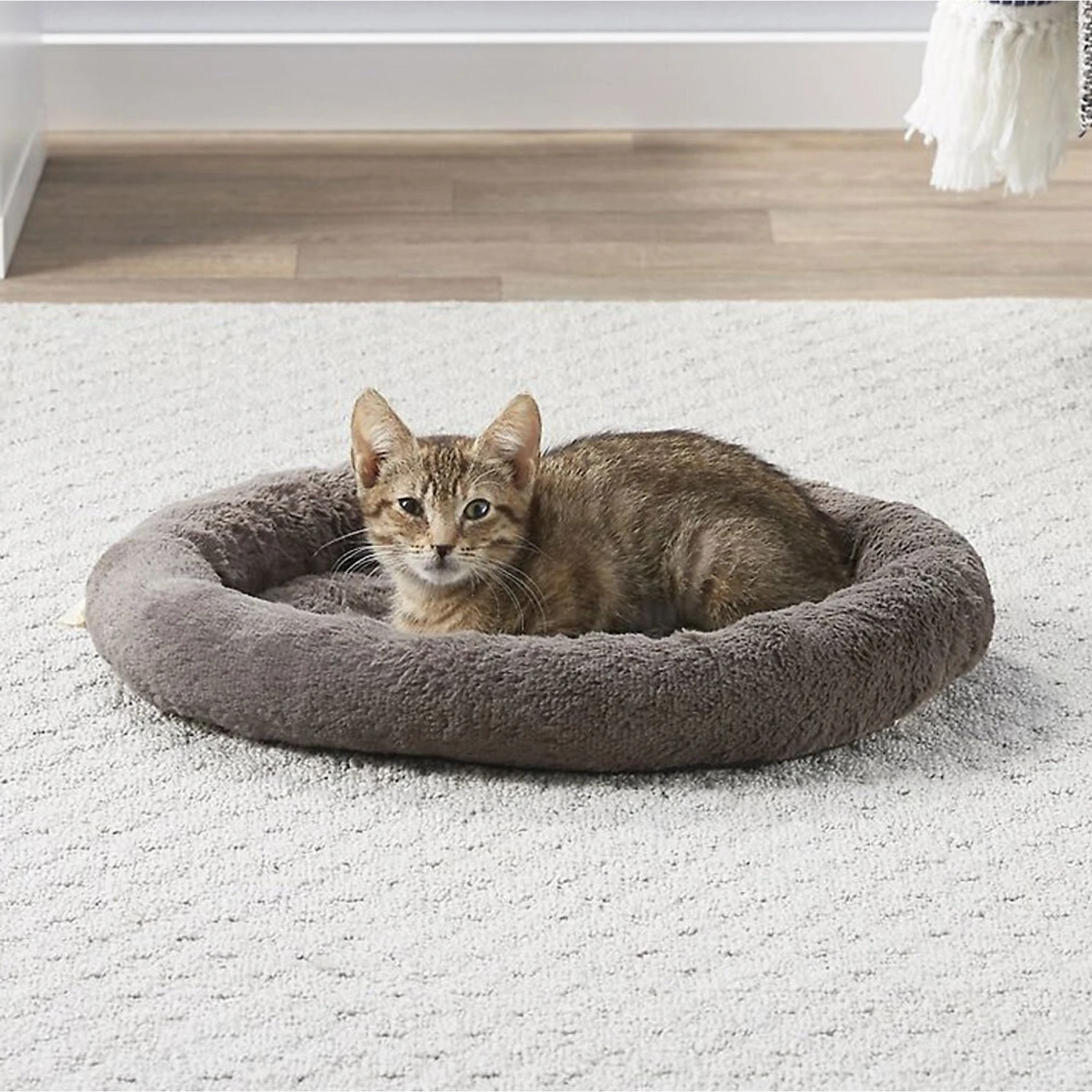 Frisco Self Warming Bolster Round Kitten Bed Frisco Self Warming Bolster Round Kitten Bed -Pet Store 165315 Main. AC SS1800 V1576690675
