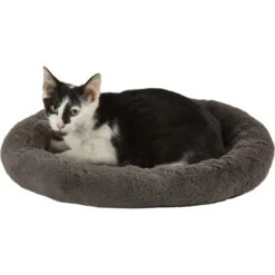 Frisco Self Warming Bolster Round Kitten Bed 4 Frisco Self Warming Bolster Round Kitten Bed -Pet Store 165315 PT2. AC SS1800 V1568211141