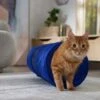 Frisco Foldable Play Tunnel With Mesh Cat Toy -Pet Store 166385 MAIN. AC SS1800 V1686579145
