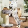 Frisco 24.8-in Heavy Duty Faux Fur Cat Tree -Pet Store 169397 MAIN. AC SS1800 V1680808632