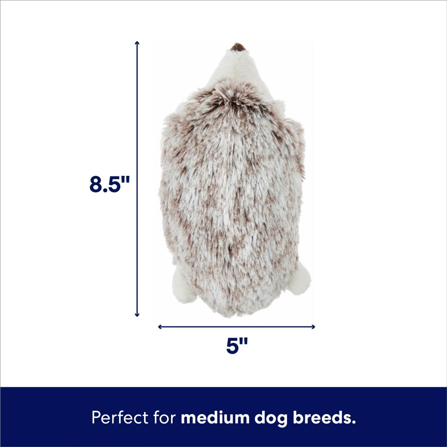 Frisco Hedgehog Plush Squeaky Dog Toy Frisco Hedgehog Plush Squeaky Dog Toy -Pet Store 174678 PT1. AC SS1800 V1695671000