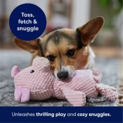 Frisco Pig Textured Plush Squeaky Dog Toy -Pet Store 174695 PT4. AC SS1800 V1695670689