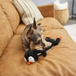 Frisco Penguin Skinny Plush Squeaky Dog Toy -Pet Store 174707 PT2. AC SS1800 V1573492672