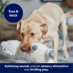 Frisco Llama Bobberz Plush Squeaky Dog Toy 6 Frisco Llama Bobberz Plush Squeaky Dog Toy -Pet Store 174741 PT4. AC SS1800 V1695671063