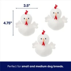 Frisco Chicken Coop Hide & Seek Puzzle Plush Squeaky Dog Toy 4 Frisco Chicken Coop Hide & Seek Puzzle Plush Squeaky Dog Toy -Pet Store 174755 PT2. AC SS1800 V1691783968