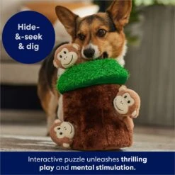 Frisco Monkeys In Tree Hide & Seek Puzzle Plush Squeaky Dog Toy 7 Frisco Monkeys In Tree Hide & Seek Puzzle Plush Squeaky Dog Toy -Pet Store 174759 PT5. AC SS1800 V1702598595