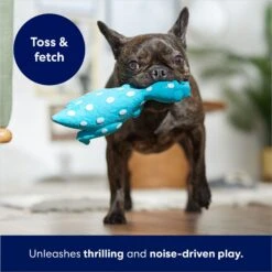 Frisco Dinosaur Latex Squeaky Dog Toy -Pet Store 174770 PT3. AC SS1800 V1686579138