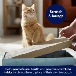 Frisco Double-Wide Cat Scratcher Toy Refill With Catnip, 2 Count 4 Frisco Double-Wide Cat Scratcher Toy Refill With Catnip, 2 Count -Pet Store 174800 PT3. AC SS1800 V1678723850