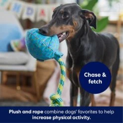 Frisco Birthday Balloon Plush With Rope Squeaky Dog Toy -Pet Store 177807 PT3. AC SS1800 V1695241973