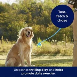 Frisco Ball Launcher & Fetch Squeaky Tennis Ball Dog Toy -Pet Store 178477 PT3. AC SS1800 V1695241970