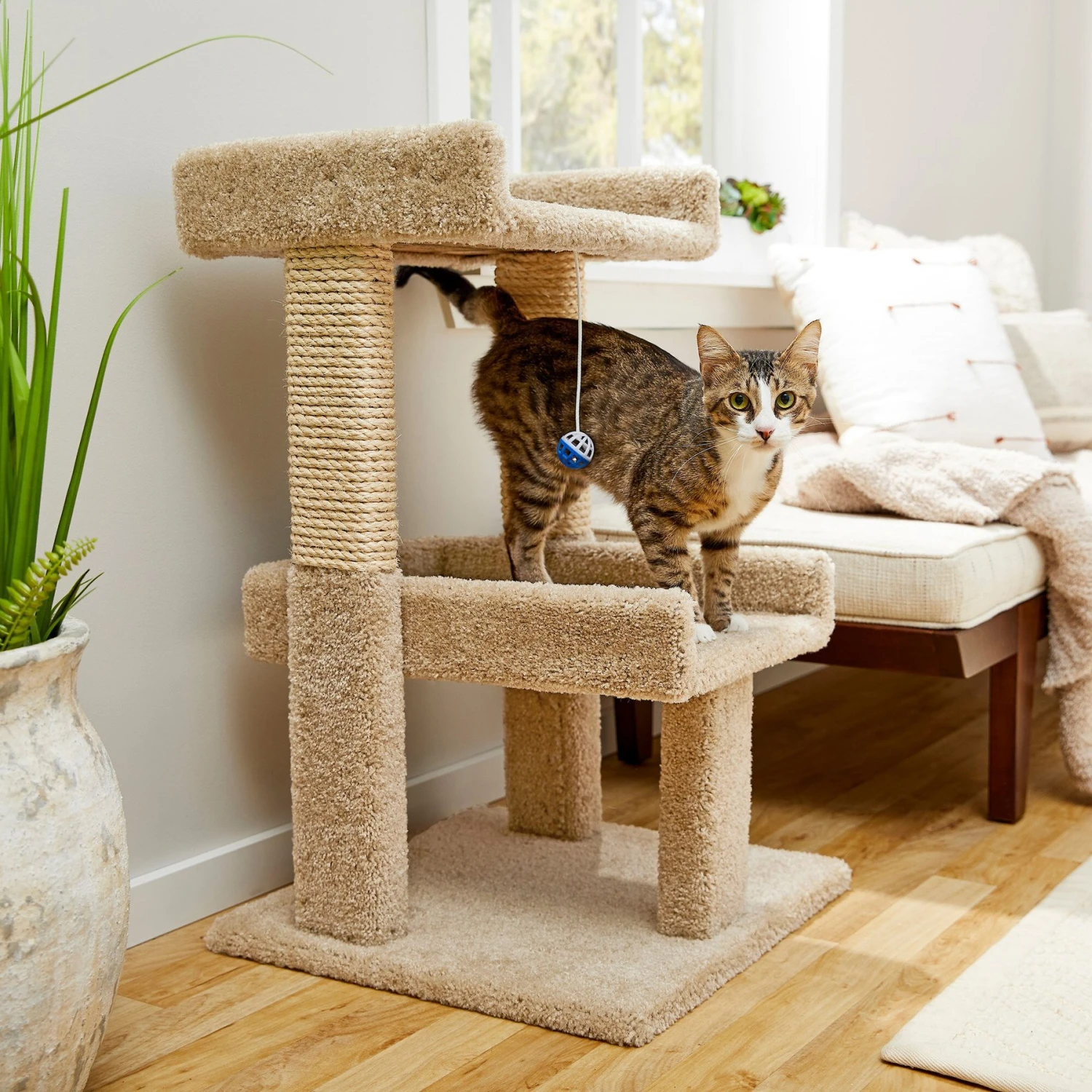 Frisco 32-in Real Carpet Wooden Cat Tree with Toy Frisco 32-in Real Carpet Wooden Cat Tree With Toy -Pet Store 208920 MAIN. AC SS1800 V1602682003