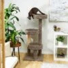Frisco 50-in Real Carpet Wooden Cat Tree -Pet Store 208930 MAIN. AC SS1800 V1602682020