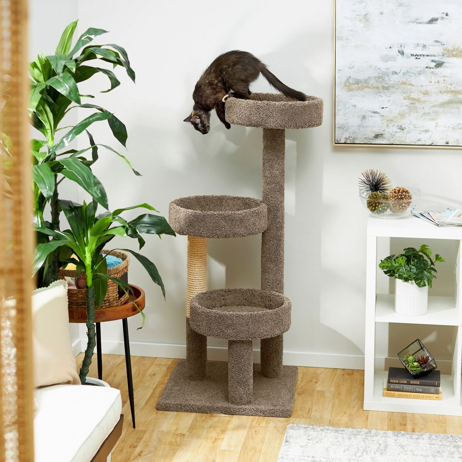 Frisco 50-in Real Carpet Wooden Cat Tree Frisco 50-in Real Carpet Wooden Cat Tree -Pet Store 208930 MAIN. AC SS1800 V1602682020