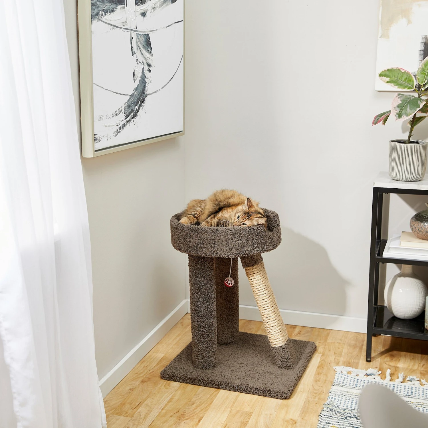 Frisco 24-in Real Carpet Cat Scratching Perch with Toy Frisco 24-in Real Carpet Cat Scratching Perch With Toy -Pet Store 208960 MAIN. AC SS1800 V1602682022