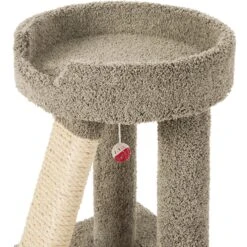 Frisco 24-in Real Carpet Cat Scratching Perch With Toy 4 Frisco 24-in Real Carpet Cat Scratching Perch With Toy -Pet Store 208960 PT3. AC SS1800 V1589221651