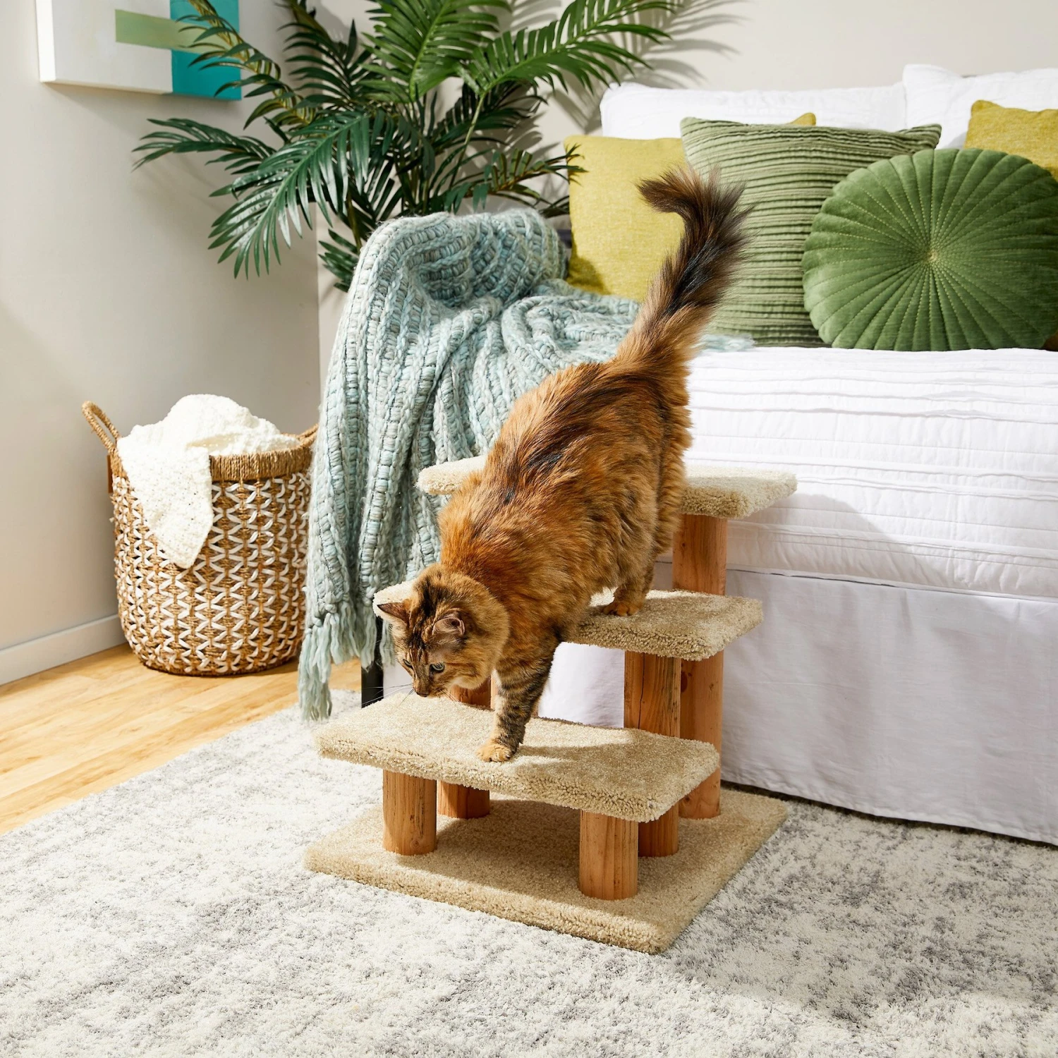 Frisco 20-in 3-Step Real Carpet Wooden Cat Steps Frisco 20-in 3-Step Real Carpet Wooden Cat Steps -Pet Store 208966 MAIN. AC SS1800 V1602682013