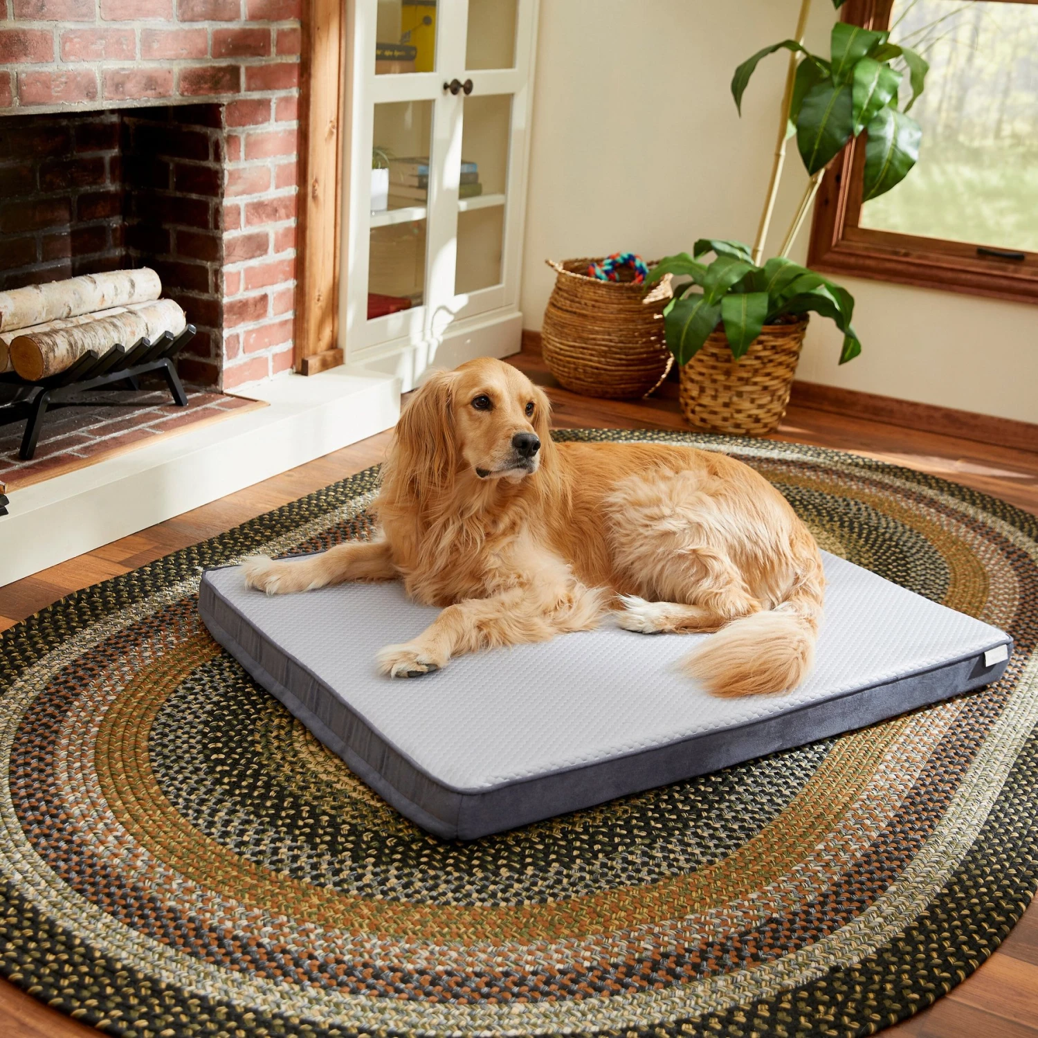 Frisco Cooling Orthopedic Pillow Dog Bed w/Removable Cover Frisco Cooling Orthopedic Pillow Dog Bed W/Removable Cover -Pet Store 210223 MAIN. AC SS1800 V1590067616
