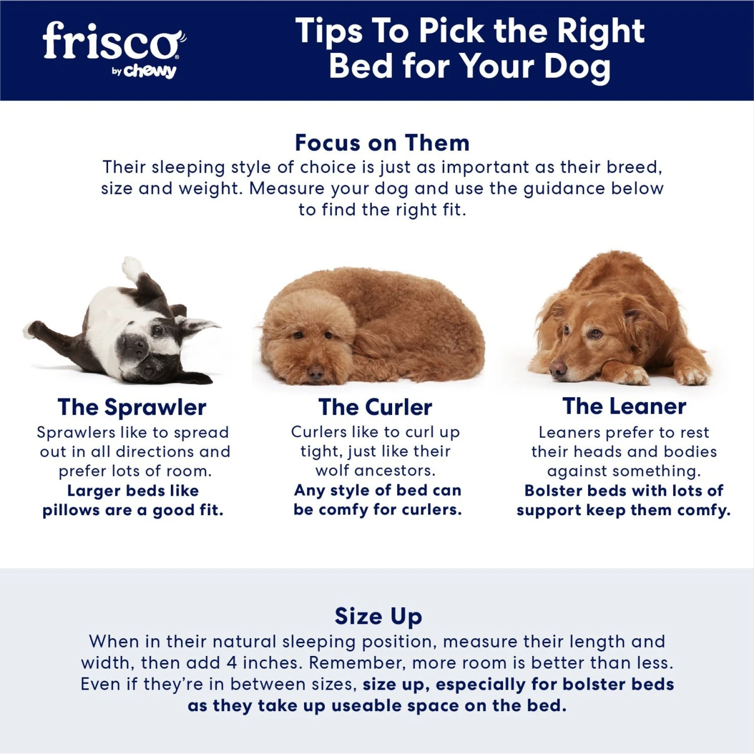 Frisco Cooling Orthopedic Pillow Dog Bed w/Removable Cover Frisco Cooling Orthopedic Pillow Dog Bed W/Removable Cover -Pet Store 210223 PT7. AC SS1800 V1668203956