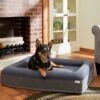 Frisco Orthopedic Rectangular Bolster Cat & Dog Bed W/Removable Cover -Pet Store 210226 MAIN. AC SS1800 V1590067652