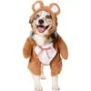 Frisco Front Walking Teddy Bear Dog & Cat Costume -Pet Store 215507 MAIN. AC SS1800 V1669148132