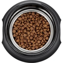 Frisco Stainless Steel Bowl With Elevated Stand -Pet Store 216020 PT4. AC SS1800 V1591020427